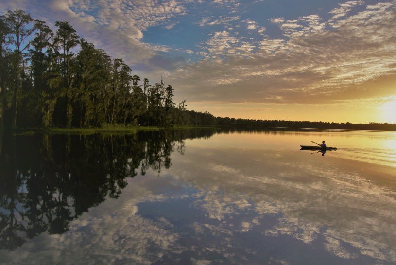 Lake Louisa State Park, Florida, USA
